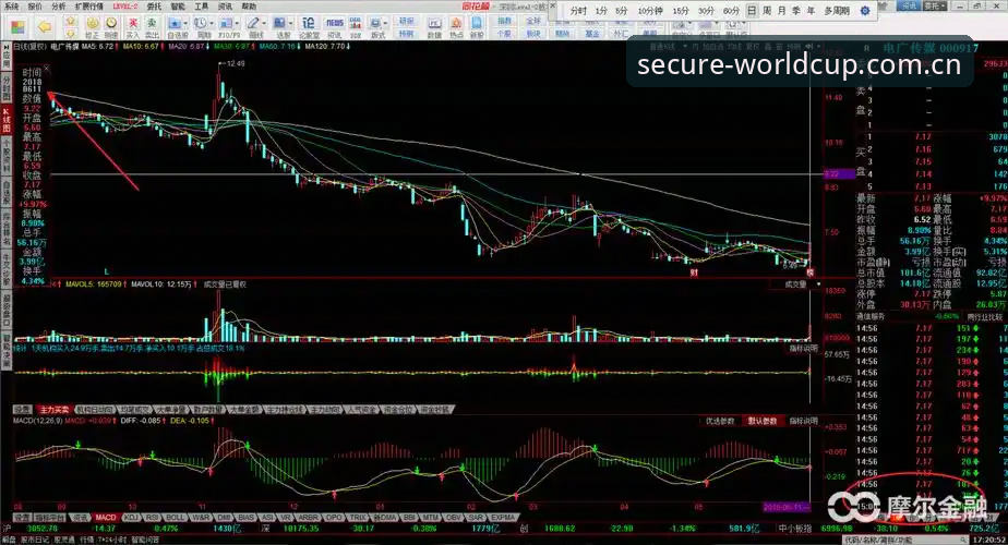 世界杯网投技巧深度剖析：从平台选择到实战策略的全面解析