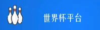 (推荐)世界杯网投正版门户 | 2026安全开户通道